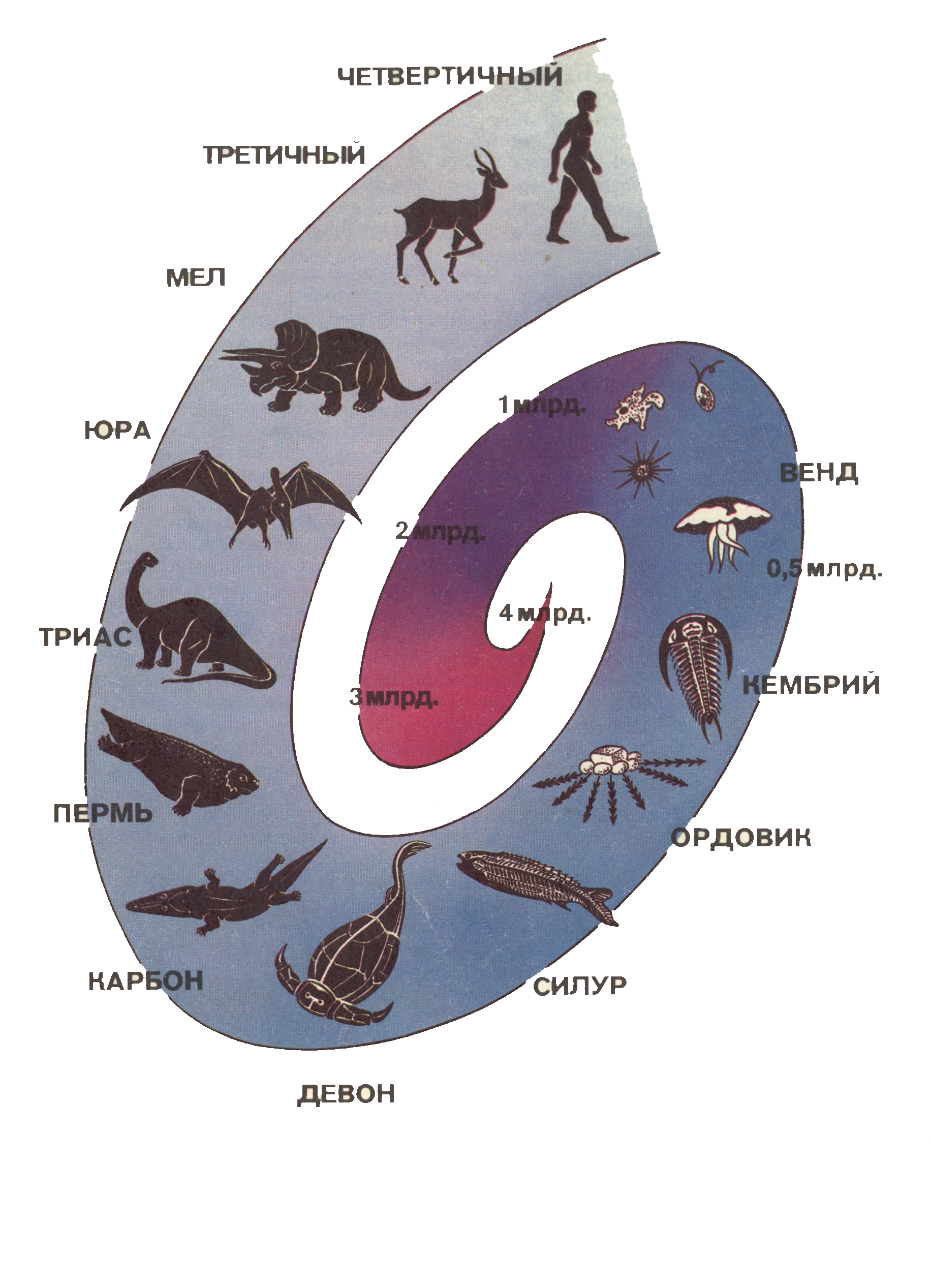 Появления групп животных на земле. Эволюция животных. Процесс эволюции животных. Этапы возникновения животных. Ступени развития животных.
